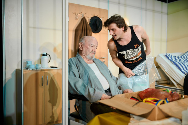 Das Herz eines<br>Boxers