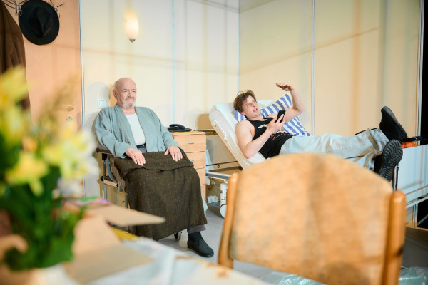 Das Herz eines<br>Boxers