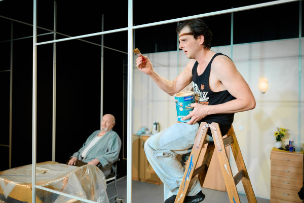 Das Herz eines<br>Boxers