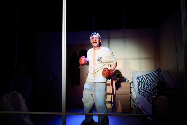 Das Herz eines<br>Boxers