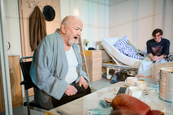 Das Herz eines<br>Boxers