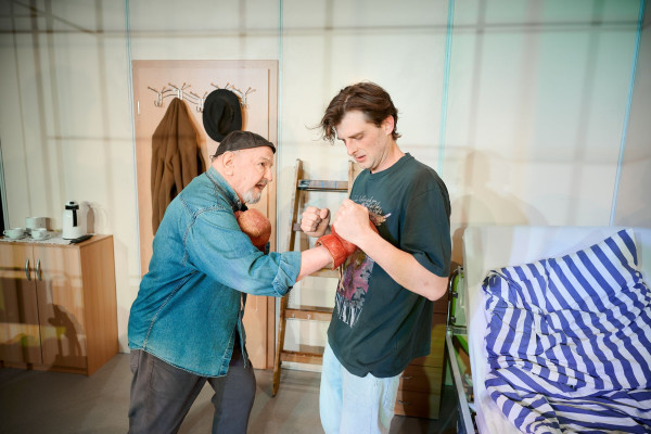 Das Herz eines<br>Boxers